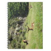 Nieuw-Zeelandse tags Notitieboek (Voorkant)