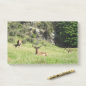 Nieuw-Zeelandse tags Post-it® Notes (Op bureau)