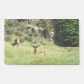 Nieuw-Zeelandse tags Post-it® Notes (Voorkant)