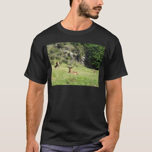 Nieuw-Zeelandse tags T-shirt (Voorkant)