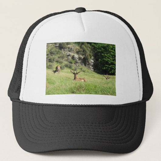 Nieuw-Zeelandse tags Trucker Pet (Voorkant)