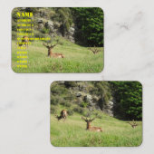 Nieuw-Zeelandse tags Visitekaartje (Voorkant / Achterkant)