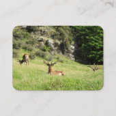 Nieuw-Zeelandse tags Visitekaartje (Achterkant)