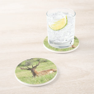 Nieuw-Zeelandse tags Zandsteen Onderzetter