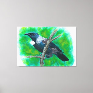 Nieuw-Zeelandse Tui - Schilderen in acryl Canvas Afdruk