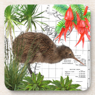 Nieuw-Zeelandse Vogel Onderzetters Set