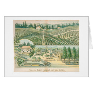 Nieuw-Zeelandse wijngaard en wijnkelders (1213A)