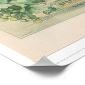 Nieuw-Zeelandse wijngaard en wijnkelders (1213A) Poster (Hoek)