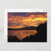 Nieuw-Zeelandse zonnebank Briefkaart (Voorkant / Achterkant)