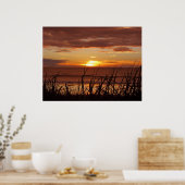 Nieuw-Zeelandse zonnebank Poster (Keuken)