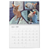 Nieuwe 2026 kalender (Mar 2027)
