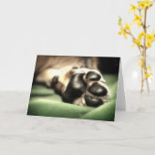 Nieuwe Aankomst Kaart (Gele Bloem)