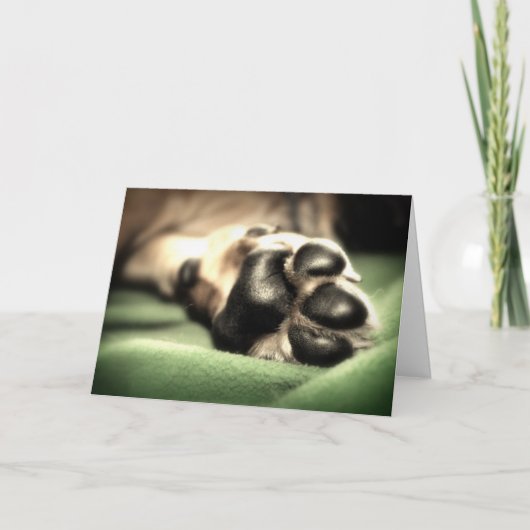 Nieuwe Aankomst Kaart (Voorkant)