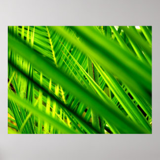 (Nieuwe aankomst) Poster afdrukken