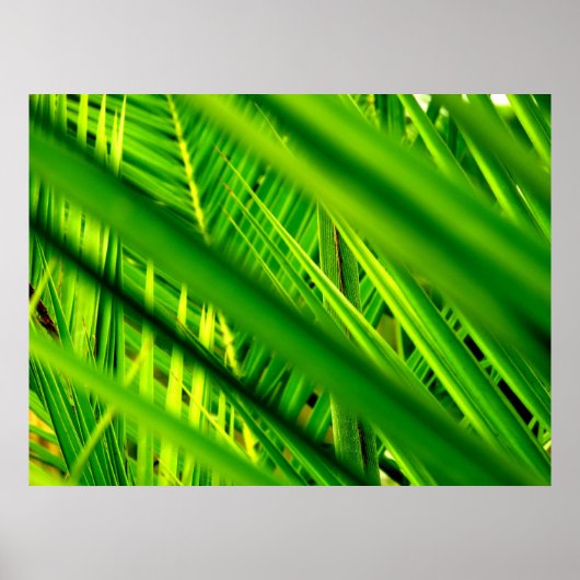 (Nieuwe aankomst) Poster afdrukken (Voorkant)