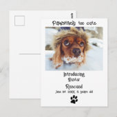 Nieuwe aankondiging van Pet Dog Briefkaart (Voorkant / Achterkant)