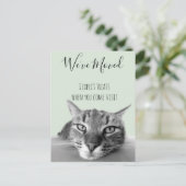 Nieuwe adresaankondiging van Cat Funny Aankondigingskaart (Staand voorkant)