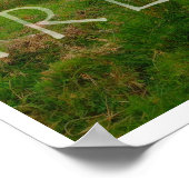 NIEUWE AFDRUKKING UIT IERLAND GROEN EN GROENER! POSTER (Hoek)