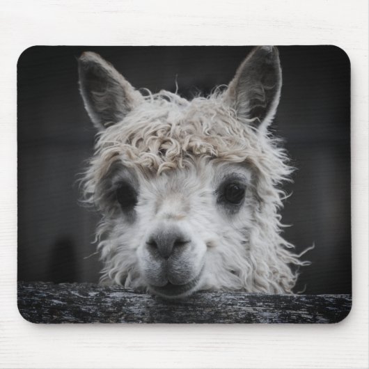 Nieuwe Alpaca Muismat (Voorkant)