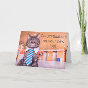 Nieuwe baan kat wenskaart kaart