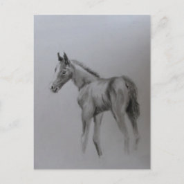 Nieuwe baby aankondigingskaart