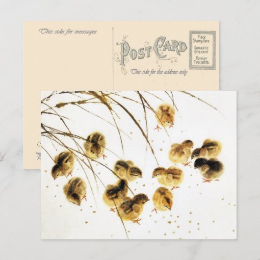Nieuwe baby kuikens, klassieke Chinese kunst Aankondigingskaart (Voorkant / Achterkant)