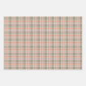 Nieuwe baby - Leaping in Mint en Peach Inpakpapier Vel (Voorkant 3)