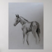 Nieuwe baby poster (Voorkant)