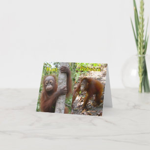 Nieuwe babyaankondiging aankondiging