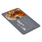 Nieuwe Begin 2023 Fotogradatie Partij Magneet (Rechterzijde)