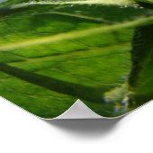 Nieuwe Begin-kunstdrukweergave Aanraakgezondheid Poster (Hoek)