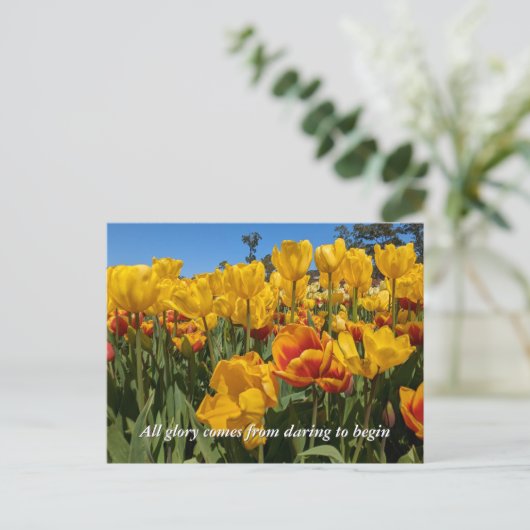 Nieuwe Beginnen Lente Gele Tulp Bloemen Briefkaart (Staand voorkant)