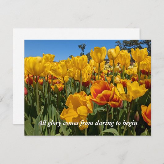 Nieuwe Beginnen Lente Gele Tulp Bloemen Briefkaart (Voorkant / Achterkant)