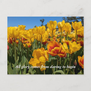 Nieuwe Beginnen Lente Gele Tulp Bloemen Briefkaart