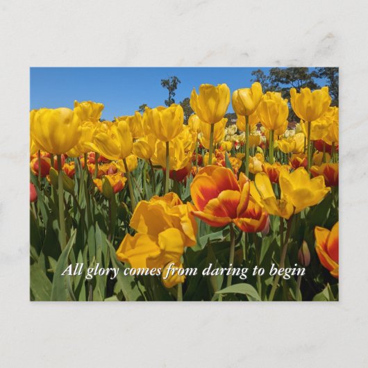 Nieuwe Beginnen Lente Gele Tulp Bloemen Briefkaart (Voorkant)