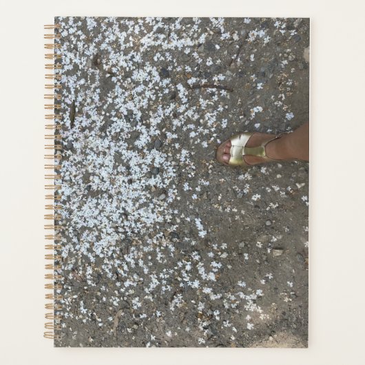 Nieuwe Beginnings- en Eerste Stappen Planner (Voorkant)