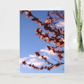 Nieuwe beginnings Spring Blossom Kaart (Voorkant)