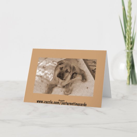 Nieuwe bekendmaking van Puppy Aankondiging (Achterkant)