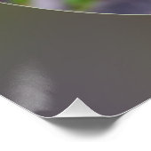 nieuwe bladeren in het voorjaar poster (Hoek)