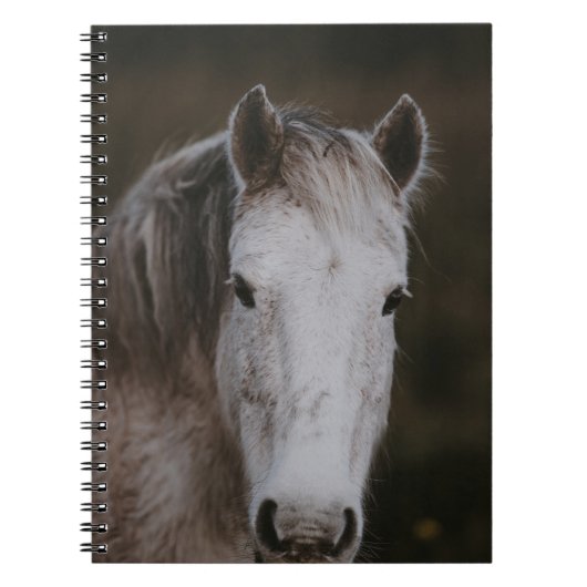 NIEUWE BOSBOUWPONY NOTITIEBOEK (Voorkant)