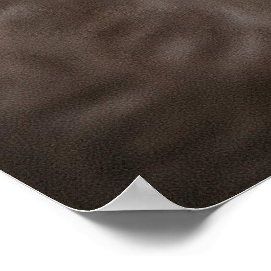 NIEUWE BOSBOUWPONY POSTER (Hoek)