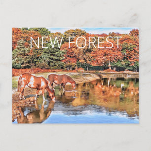 Nieuwe bosponies briefkaart
