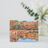 Nieuwe bosponies briefkaart (Staand voorkant)