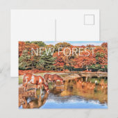 Nieuwe bosponies briefkaart (Voorkant / Achterkant)