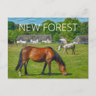 Nieuwe bosponies briefkaart