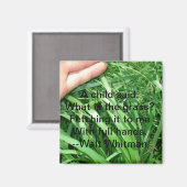 Nieuwe bovenliggende magneet Set 5 van 5 (Voorkant / Achterkant)