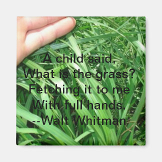 Nieuwe bovenliggende magneet Set 5 van 5