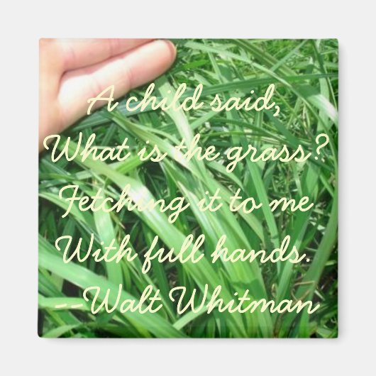 Nieuwe bovenliggende magneet set 5 van 5 (verbeter (Voorkant)