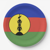 Nieuwe Caledonië vlag Papieren Bordje (Voorkant)