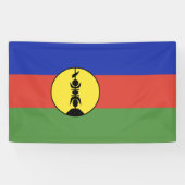 Nieuwe Caledonië vlag Spandoek (Horizontaal)